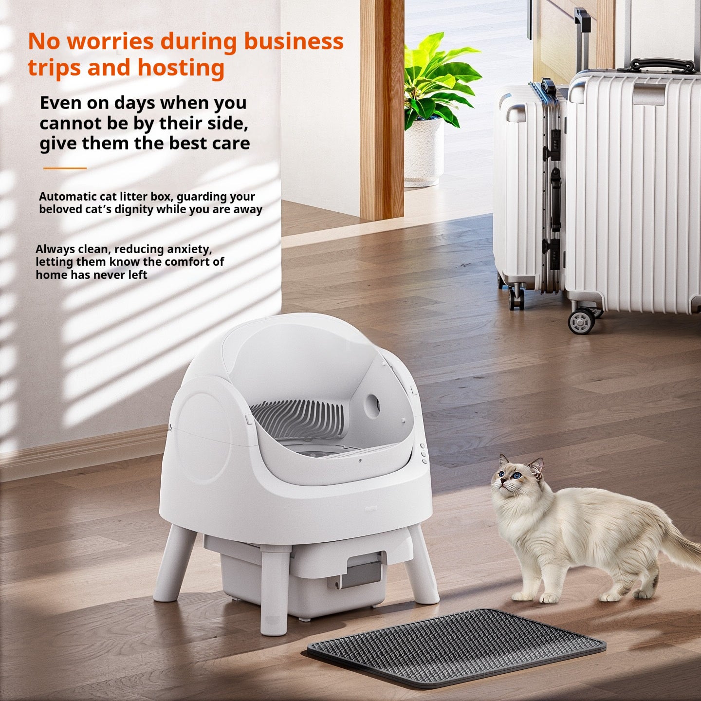 Open Automatic Litter Box White Deodorant